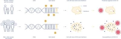 DNA methylation in long COVID